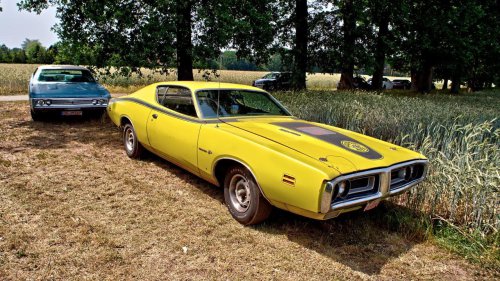 Muscle car decals that meant real performance