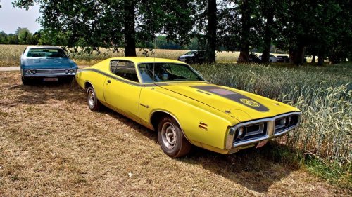 Muscle car decals that meant real performance
