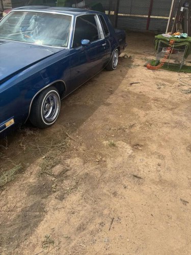 1984 Oldsmobile Cutlass For Sale