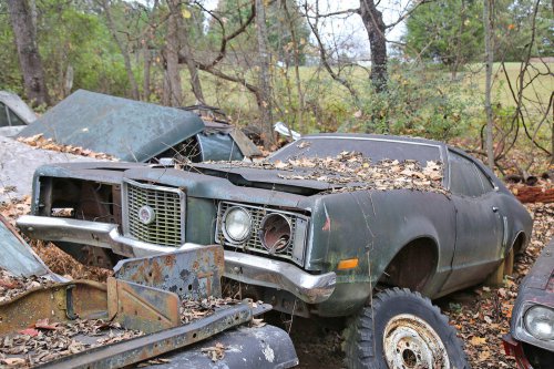 The Junkyard Discoveries of Denton Auto Parts in New Market, Tennessee