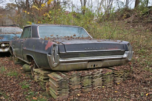 The Junkyard Discoveries of Denton Auto Parts in New Market, Tennessee