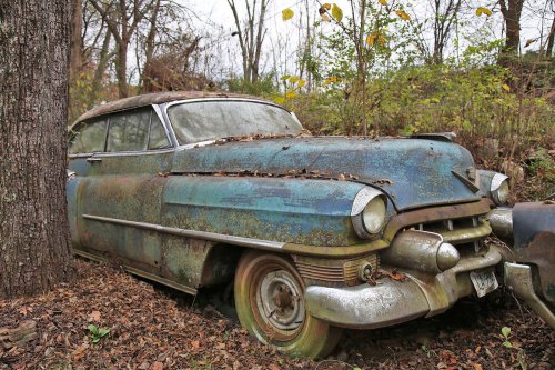 The Junkyard Discoveries of Denton Auto Parts in New Market, Tennessee