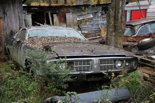 The Junkyard Discoveries of Denton Auto Parts in New Market, Tennessee