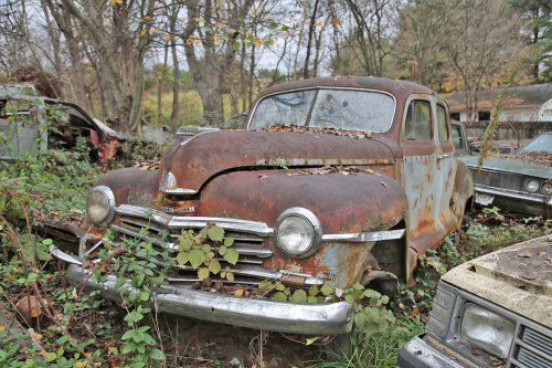 The Junkyard Discoveries of Denton Auto Parts in New Market, Tennessee