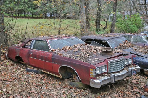 The Junkyard Discoveries of Denton Auto Parts in New Market, Tennessee