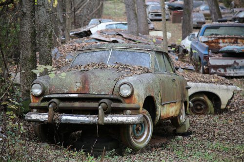 The Junkyard Discoveries of Denton Auto Parts in New Market, Tennessee