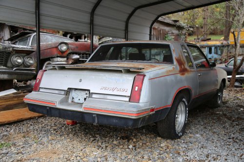 The Junkyard Discoveries of Denton Auto Parts in New Market, Tennessee