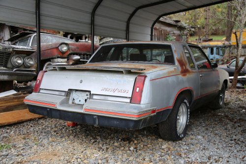 The Junkyard Discoveries of Denton Auto Parts in New Market, Tennessee