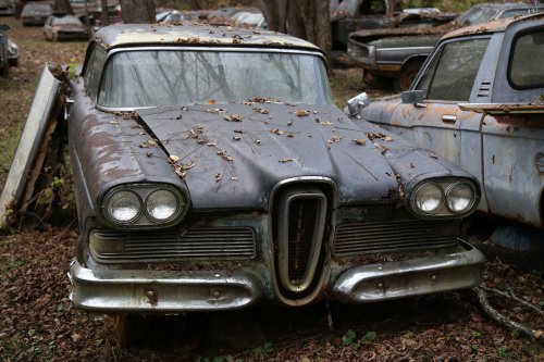 The Junkyard Discoveries of Denton Auto Parts in New Market, Tennessee