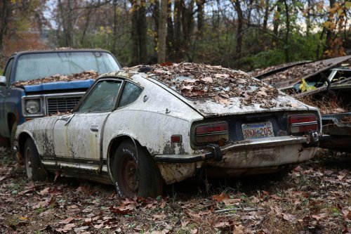The Junkyard Discoveries of Denton Auto Parts in New Market, Tennessee