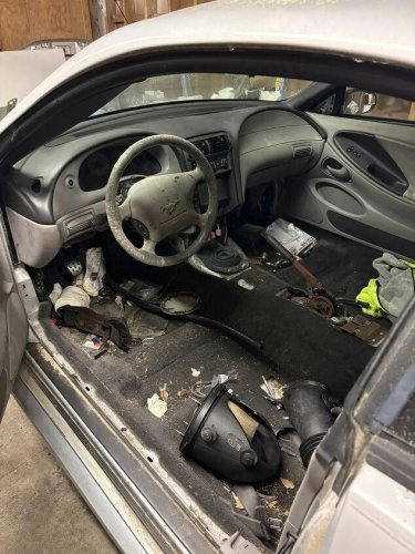 2004 Ford Mustang For Sale