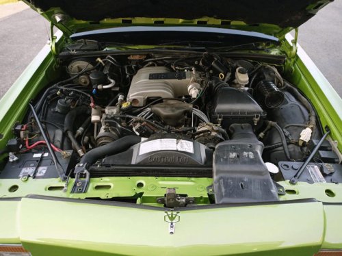 'Clark! There's a Wagon Queen Family Truckster on Bring a Trailer!'