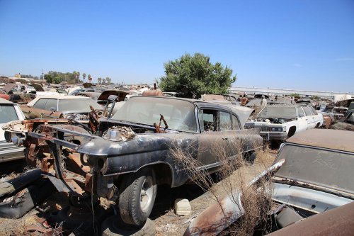Junkyard Gems of Turner’s Auto Wrecking in Fresno, California