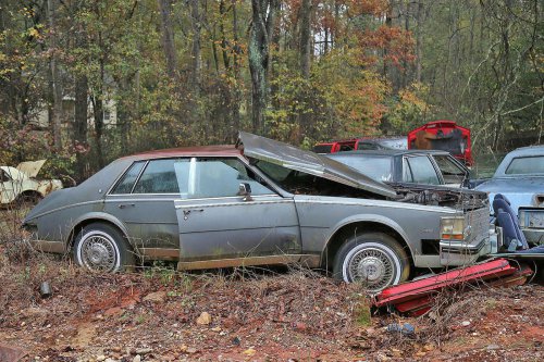 Some Interesting Junkyard Finds at Collins Auto Salvage in Auburn, Georgia