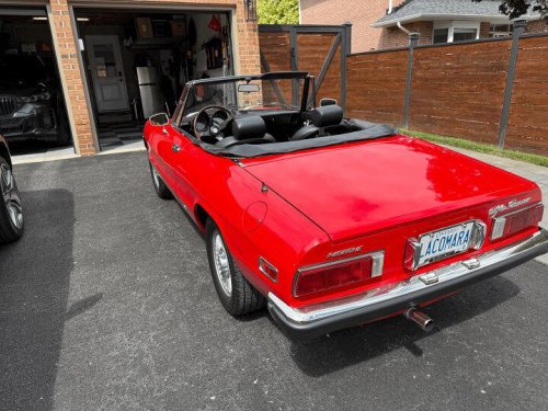 1977 Alfa Romeo Spider For Sale