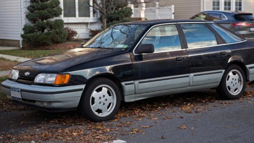 10 Weirdest Captive Imports You Can Buy In America