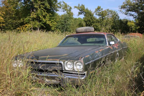 More Junkyard discoveries from French Lake Auto Parts, Annandale, Minnesota