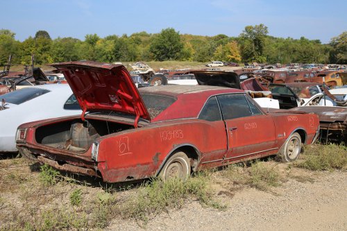 More Junkyard discoveries from French Lake Auto Parts, Annandale, Minnesota