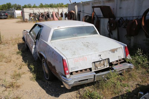 More Junkyard discoveries from French Lake Auto Parts, Annandale, Minnesota