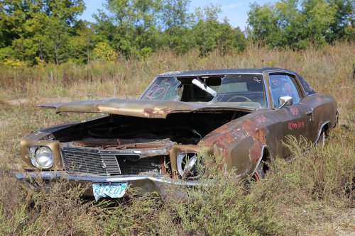 More Junkyard discoveries from French Lake Auto Parts, Annandale, Minnesota