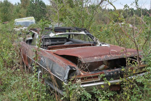 Unicorns: the rarest cars we’ve ever spotted in American junkyards