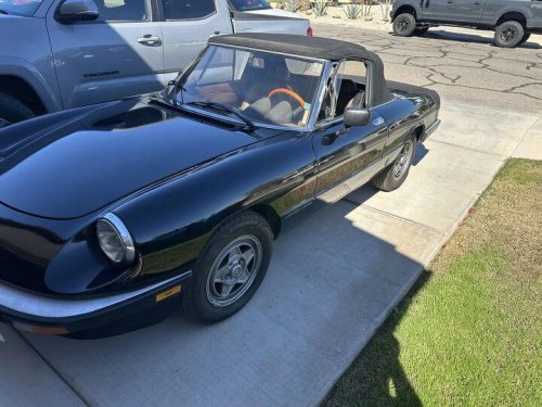 1984 Alfa Romeo Spider For Sale