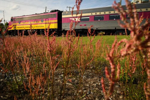 Lawmakers Push NHTSA To Investigate Tesla FSD