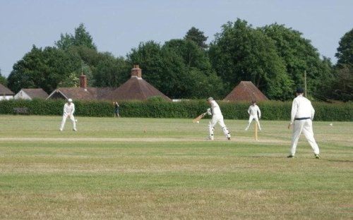 Cricket banned at 200-year-old Essex ground amid ‘Nimbyism’ accusations