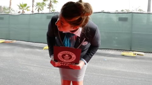 20 Facts About The American Dream, The World's Longest Limo