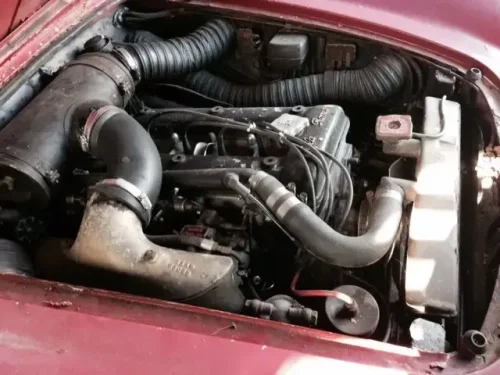 1959 Alfa Romeo Spider