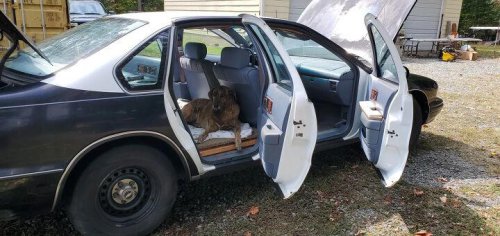 1995 Chevrolet Caprice For Sale