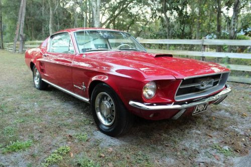 1967 Ford Mustang For Sale