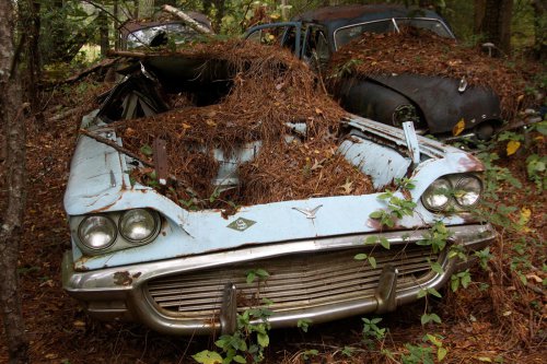 The charming junkyard gems of Old Car City, White, Georgia