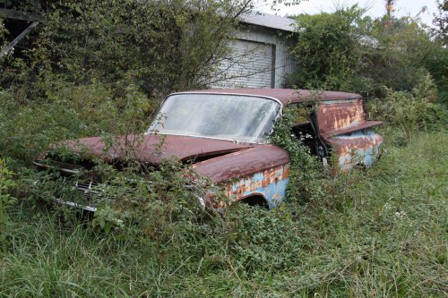The charming junkyard gems of Old Car City, White, Georgia