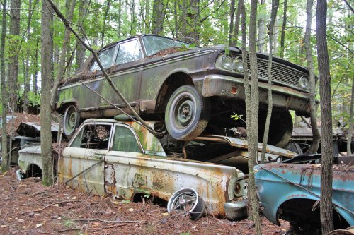 The charming junkyard gems of Old Car City, White, Georgia