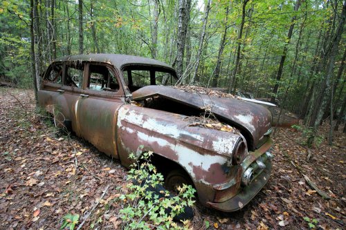 The charming junkyard gems of Old Car City, White, Georgia