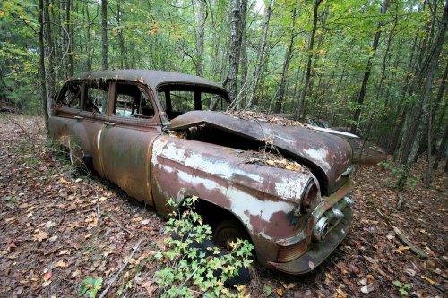 The charming junkyard gems of Old Car City, White, Georgia