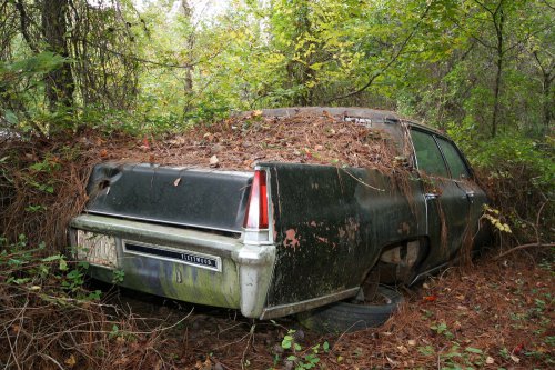 The charming junkyard gems of Old Car City, White, Georgia