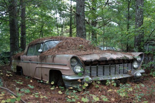 The charming junkyard gems of Old Car City, White, Georgia