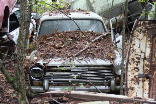 Las encantadoras joyas del depósito de chatarra de Old Car City, White, Georgia