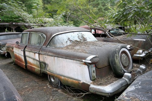 The charming junkyard gems of Old Car City, White, Georgia