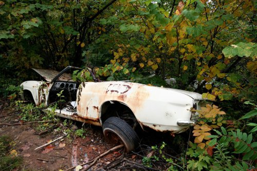 The charming junkyard gems of Old Car City, White, Georgia