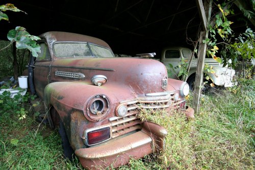 The charming junkyard gems of Old Car City, White, Georgia