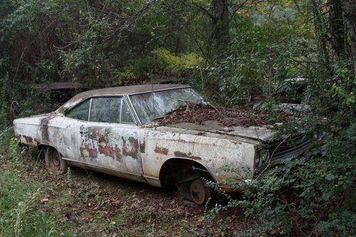 The charming junkyard gems of Old Car City, White, Georgia