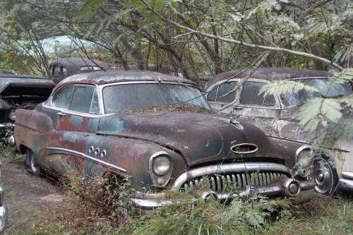 The charming junkyard gems of Old Car City, White, Georgia