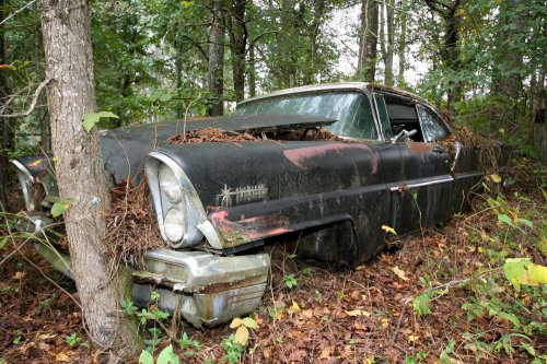 The charming junkyard gems of Old Car City, White, Georgia
