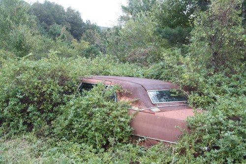 The charming junkyard gems of Old Car City, White, Georgia