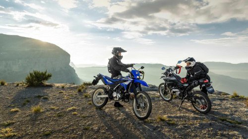 The beginner bike that balances ease, efficiency, and confidence