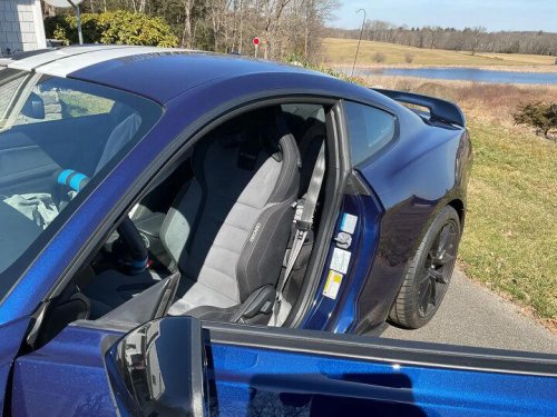 2019 Ford Mustang