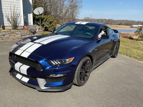 2019 Ford Mustang For Sale